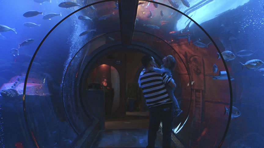 DIE FRIST | Franz Kastner | Karin Becker | Tellux | Phillip Schall | ZDF | HFF | FFF