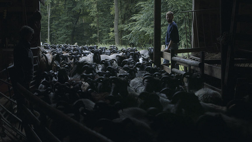 EIN SPIEL MIT DREI REGELN | Franz Kastner | Till Cöster