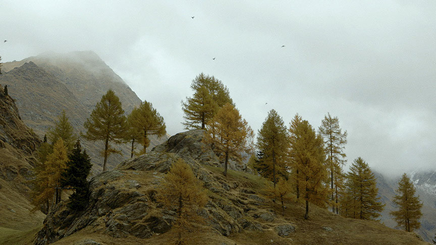 TIMMELSJOCH WENN GRENZEN VERBINDEN | Franz Kastner | Philipp Pamer | Remulus Film