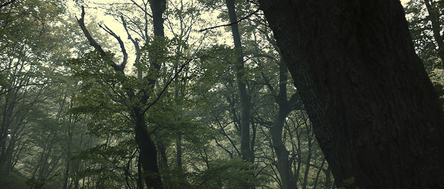 VOICEMAIL | Franz Kastner | Erec Brehmer | Walking Ghost Film | Camerimage 2016